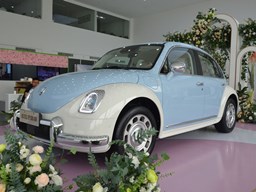 歐拉芭蕾貓 外觀圖片