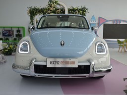 歐拉芭蕾貓 外觀圖片