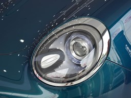 歐拉好貓細(xì)節(jié)圖片