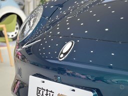 歐拉好貓細(xì)節(jié)圖片