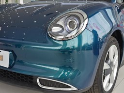 歐拉好貓細(xì)節(jié)圖片