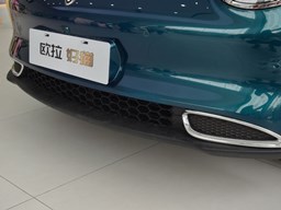 歐拉好貓細(xì)節(jié)圖片