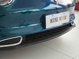 歐拉好貓細(xì)節(jié)圖片