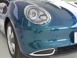 歐拉好貓細(xì)節(jié)圖片