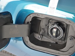 歐拉好貓細(xì)節(jié)圖片