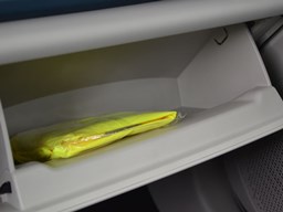 歐拉好貓內(nèi)飾圖片