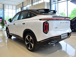 榮威鯨外觀圖片