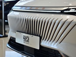 榮威鯨細(xì)節(jié)圖片