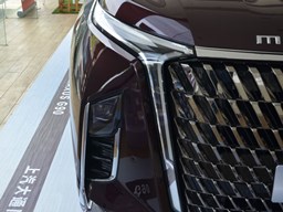 上汽MAXUS G90細(xì)節(jié)圖片