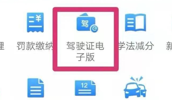 電子駕駛證在哪里查看 電子駕駛證在手機交管12123APP查看