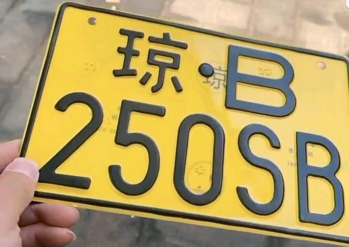 偽造機(jī)動(dòng)車(chē)牌照扣幾分