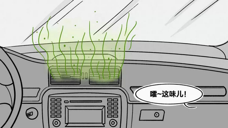汽車(chē)進(jìn)水有霉味多久才能去掉 車(chē)內(nèi)霉味去除方法