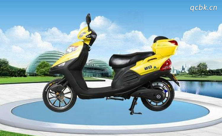 什么牌子的電動車好