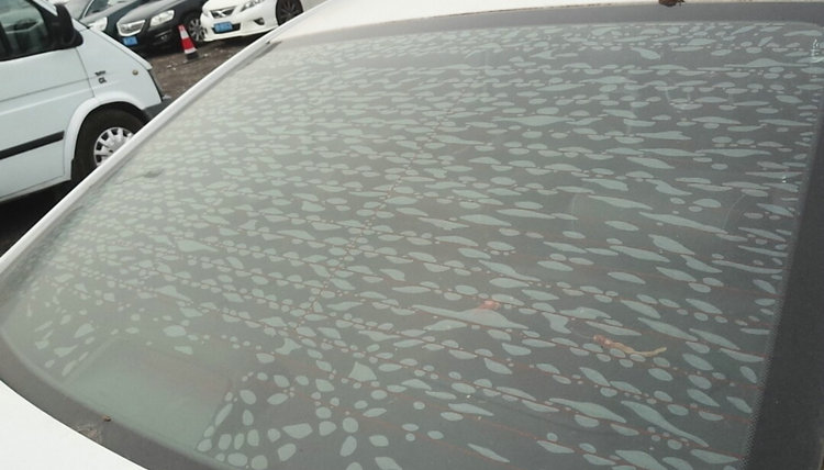 汽車貼膜后有小氣泡會(huì)自己消失嗎