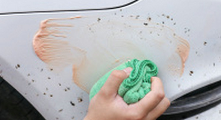 白色車漆有黃點(diǎn)鐵銹如何去除