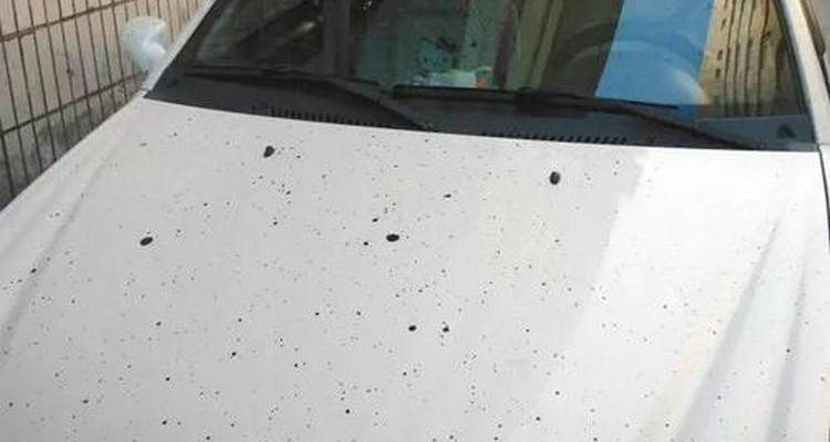 汽車上有好多像鐵銹的點(diǎn)怎么去掉呢