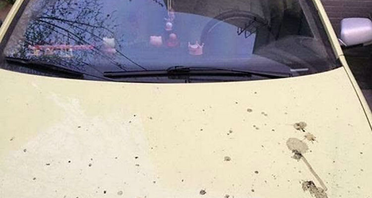 車漆上的黃點(diǎn)怎么去除