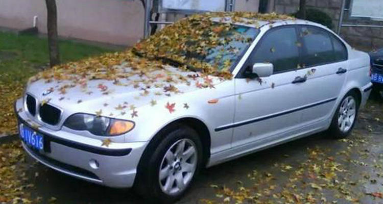 汽車放久了不開會怎樣