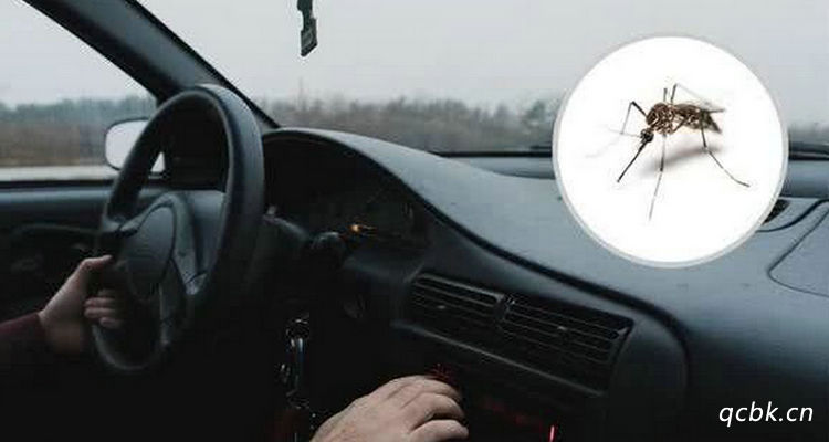 車?yán)镉形米釉趺慈コ钣行?></i>
          <h3>車?yán)镉形米釉趺慈コ钣行?/h3>
          <span>知識(shí)</span>
          <p class=