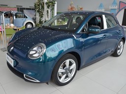 2022款 歐拉好貓外觀圖片