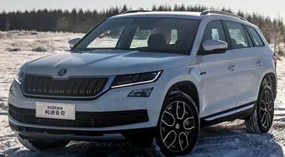 你認(rèn)為探岳和柯迪亞克哪個好，誰更物美價廉（性價比高）