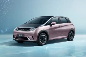 比亞迪海豚顏色大全 共有六種顏色（車(chē)主普遍接受黑/白兩色）