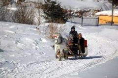 買車如何選擇前驅(qū)、后驅(qū)、四驅(qū)，想不到差別這么大！