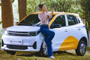 雷丁電動(dòng)汽車(chē)多少錢(qián)一輛 雷丁芒果僅售2萬(wàn)一臺(tái)
