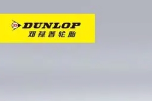 鄧祿普輪胎怎么樣 輪胎性價比很高（屬于日本輪胎品牌）