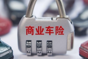 機(jī)動車損失保險有沒有必要買 新車購買車損險有必要（對車輛有保障）