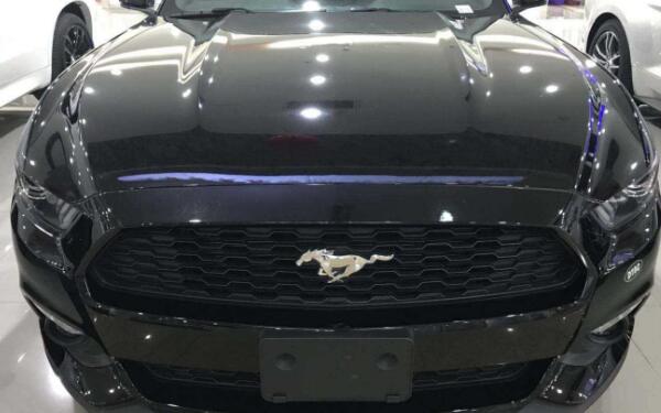 野馬的車(chē)標(biāo)歷史 最初車(chē)標(biāo)曾選用美洲獅