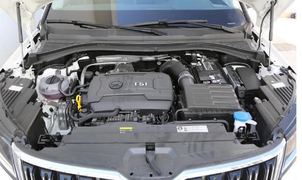 你認(rèn)為探岳和柯迪亞克哪個好，誰更物美價廉（性價比高）