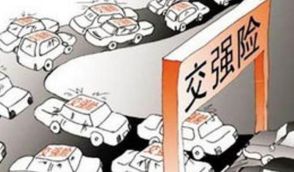 車輛必買的4個險，保險不能少安全駕駛很關(guān)鍵（車險就是保障）