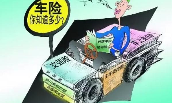 車險一般買哪幾種，新手司機適合豪華型組合（全方位的保障）