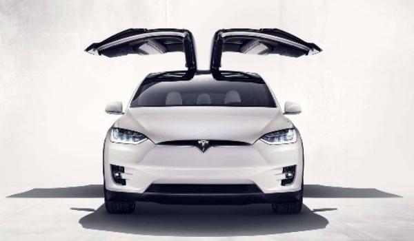 特斯拉Model X歐翼門，值得你擁有（個(gè)性獨(dú)特）