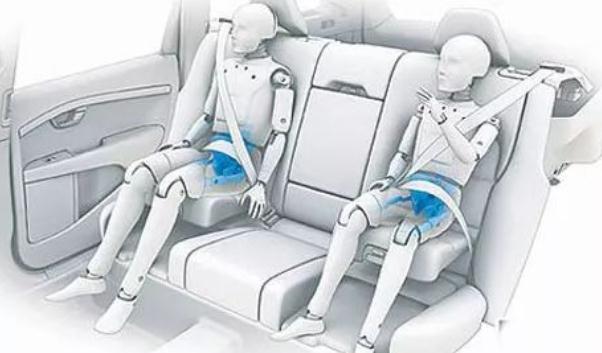 安全帶，生命帶（必須系好安全帶）