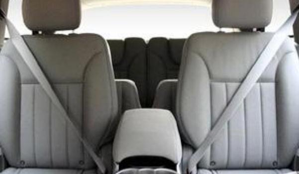 安全帶，生命帶（必須系好安全帶）