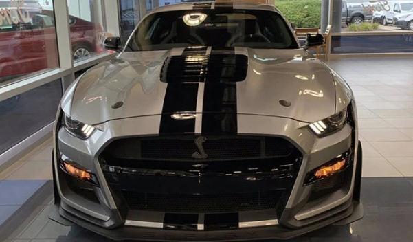 野馬眼鏡蛇多少錢，野性十足（超級跑車速度飛揚(yáng)）