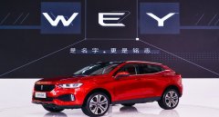 wey是什么車多少錢，象征著一枝獨(dú)秀的存在