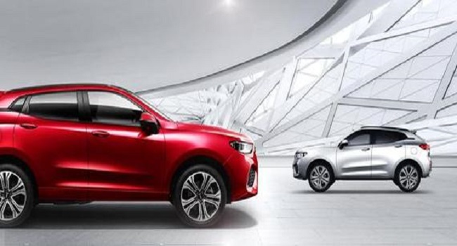 wey是什么車多少錢，象征著一枝獨(dú)秀的存在