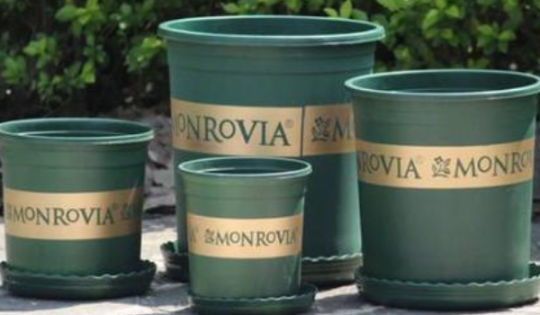 一加侖等于多少升汽油，分美制和英制兩種（美制一加侖是3.785412升）