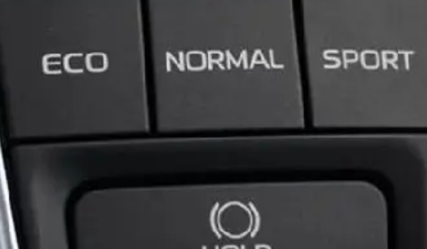 sport是什么意思，運(yùn)動版車型（也指運(yùn)動模式）