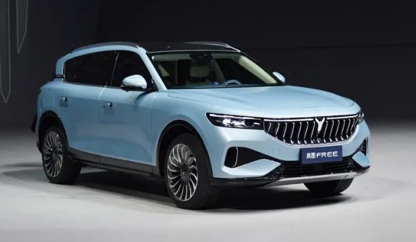 嵐圖汽車是哪個公司的 東風(fēng)汽車集團(高端智能電動品牌)