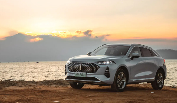 一個(gè)豎長(zhǎng)條的車標(biāo)suv 魏派汽車品牌(中國豪華suv品牌)