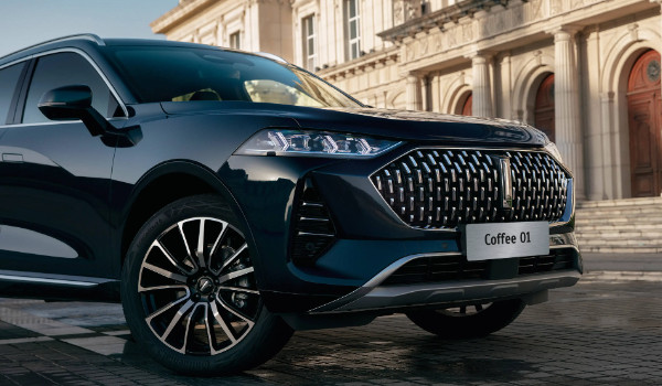 一個(gè)豎長(zhǎng)條的車標(biāo)suv 魏派汽車品牌(中國豪華suv品牌)