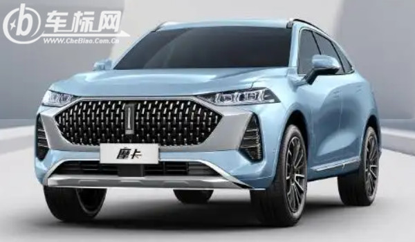 一個(gè)豎長(zhǎng)條的車標(biāo)suv 魏派汽車品牌(中國豪華suv品牌)