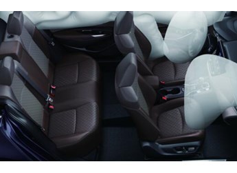 數(shù)九寒天如何安穩(wěn)過(guò)冬？全能亞洲獅送您“四不怕”