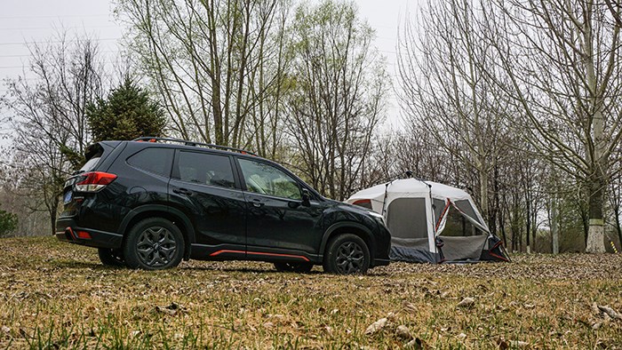 東瀛黑武士 斯巴魯森林人運動限量版評測