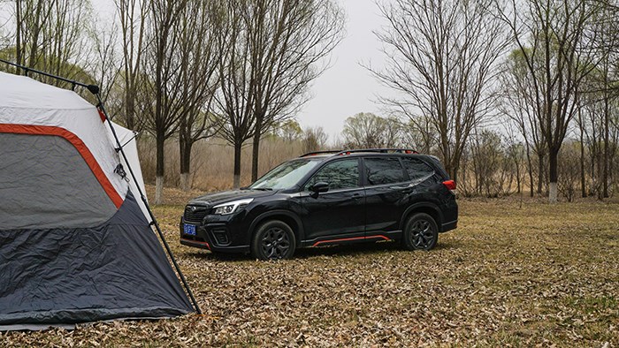 東瀛黑武士 斯巴魯森林人運動限量版評測