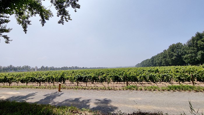 雨后見美景 雷克薩斯RX450hL懷來官?gòu)d游記